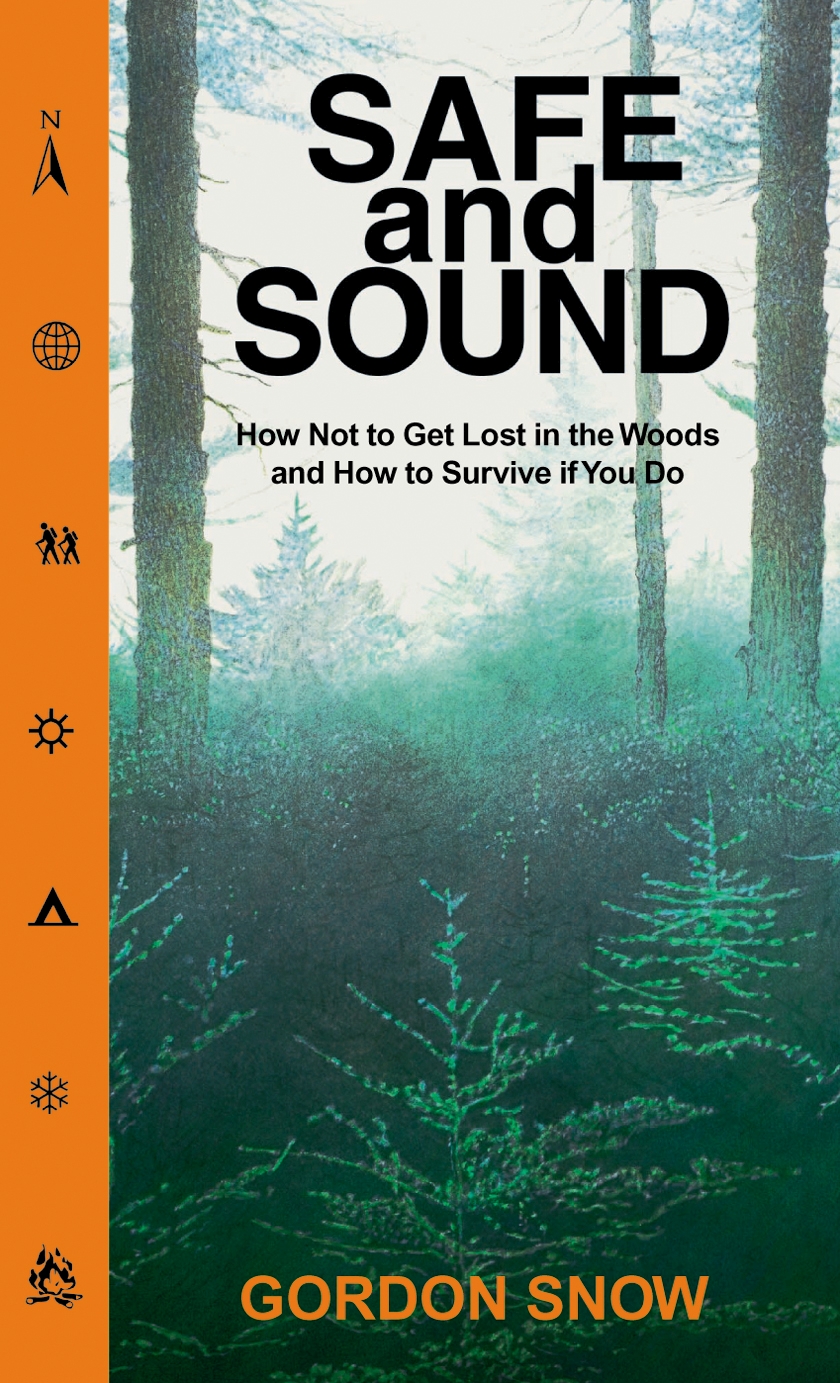 Title details for Safe and Sound by Gordon Snow - Available